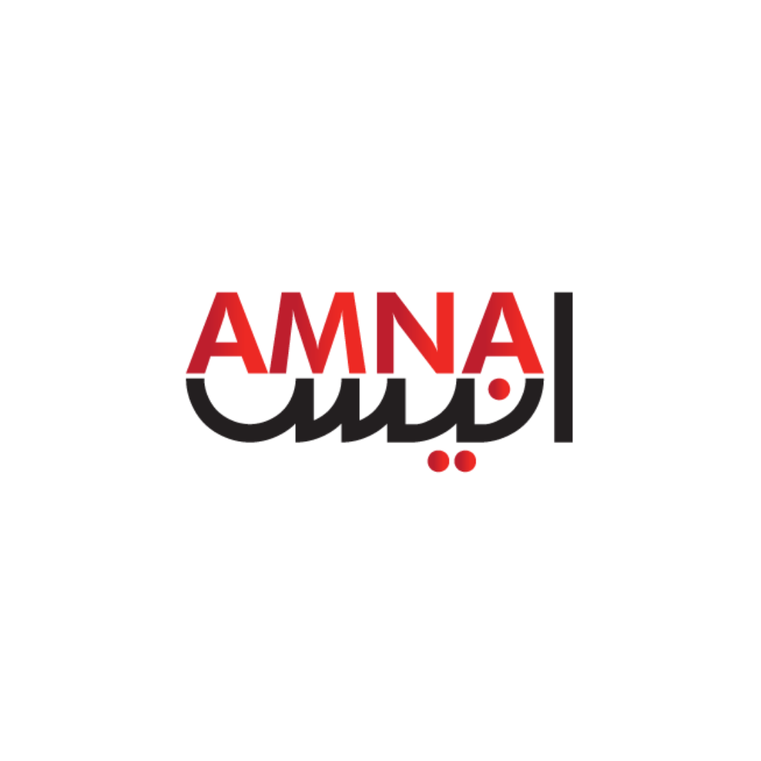 Amna Anis